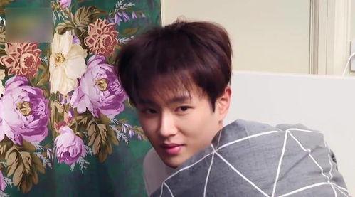 吃瓜娱乐王栎鑫是谁扮演的,揭秘王栎鑫角色扮演者之谜