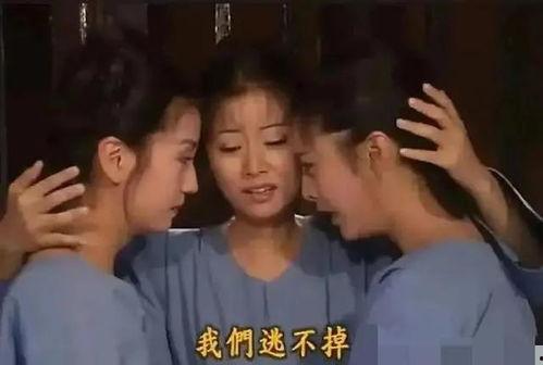 娱乐圈工作吃瓜,揭秘幕后吃瓜大揭秘