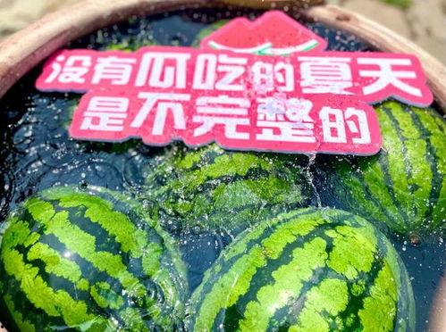 娱乐吃瓜场所有哪些人,揭秘明星幕后人生百态